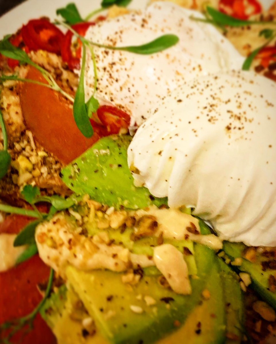 Educated Flea tweet media