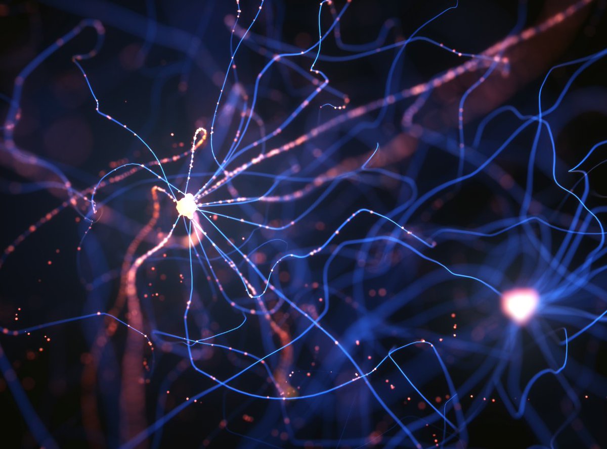 FrontNeurosci's tweet image. 🔊 Have you seen our Non-Neuronal Cells #EditorsPick collection🎉 yet? 

It features articles across the field of #cellularneuroscience, handpicked by our Chief Editor Prof Tremblay
 
Read them now:👉🏻fro.ntiers.in/NNC21