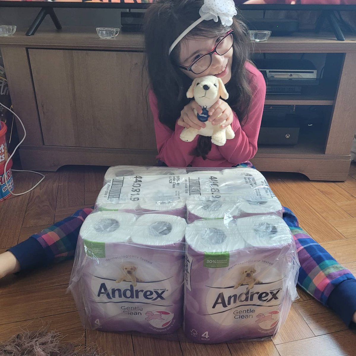 maxine253's tweet photo. Thank you to the insiders for my delivery of andrex toilet paper and andrex toy. My daughter is in love with the toy and has named it cupcake 🧁🤣 #andrex_theinsidersuk #the insidersuk https://t.co/glTjMYks0T