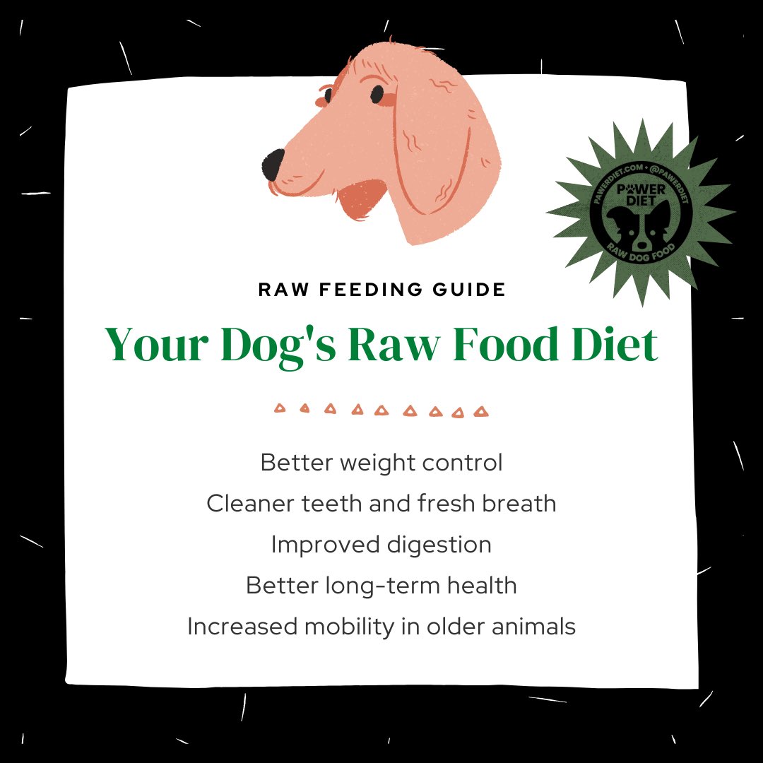 PawerDiet's tweet photo. To learn more about the benefits from feeding your dog raw, visit our site or feel free to direct message us. We are happy to answer any questions you may have. #linkinbio #healthydog #knowledgeispower #rawdietfordogs #pawerdiet 🐾 https://t.co/45uGr0ibap