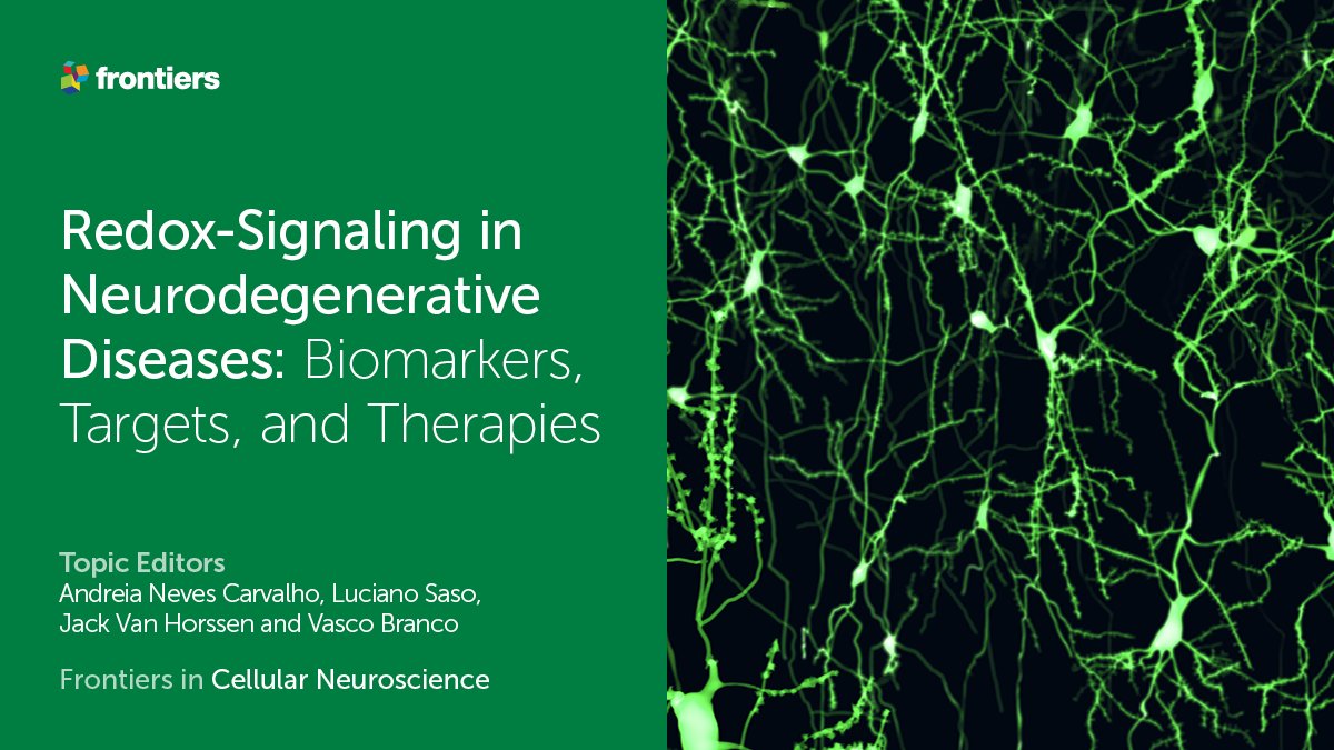 FrontNeurosci's tweet image. Do you want to learn more about #redoxsignaling in #neurodegenerative diseases?🚨Check this exciting Research Topic!

Submissions:
👉fro.ntiers.in/42sz
🗓️30 Sep 2021

Topic Editors Drs. Carvalho, Saso, Van Horssen, and Branco welcome your research!

#CellularNeuroscience