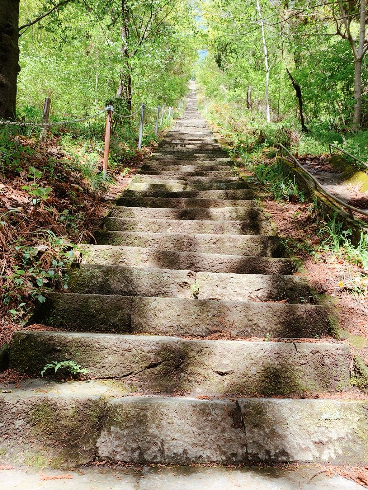 Showk37's tweet photo. 長く続く階段を登った先にある神社は景色も良く
清々しい雰囲気でした。

長野県上田市
須々貴山神社⛩ https://t.co/CbmhaSRyOm
