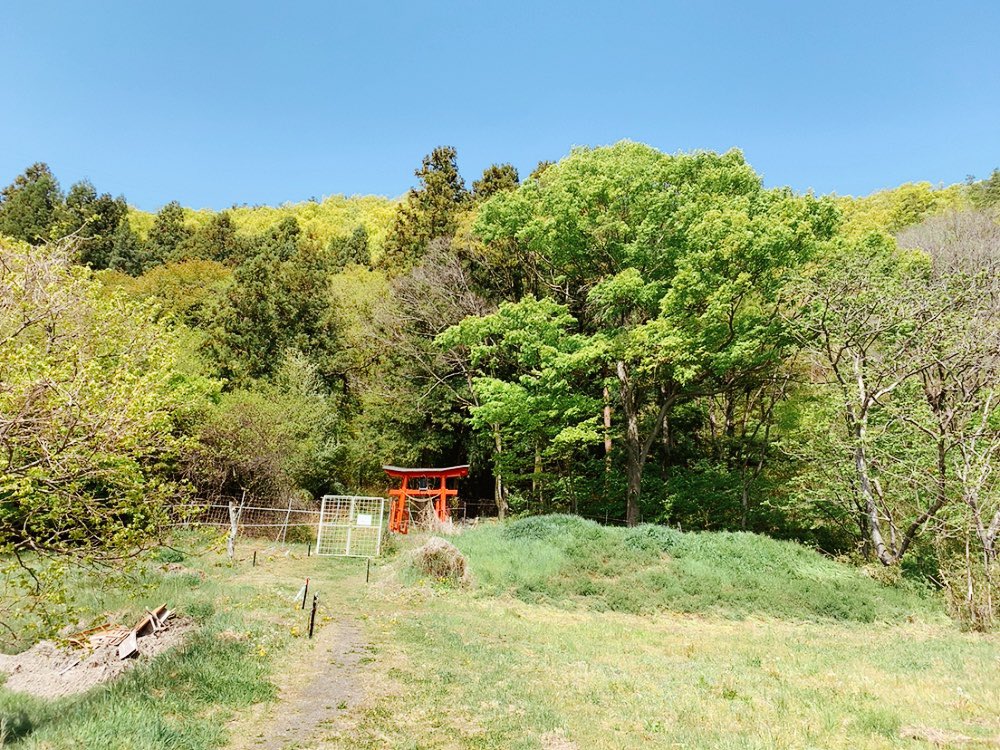Showk37's tweet photo. 長く続く階段を登った先にある神社は景色も良く
清々しい雰囲気でした。

長野県上田市
須々貴山神社⛩ https://t.co/CbmhaSRyOm