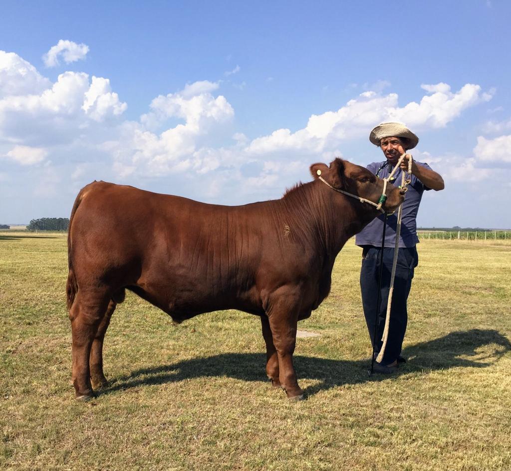 Feliz Dia Del Trabajador Rural!!