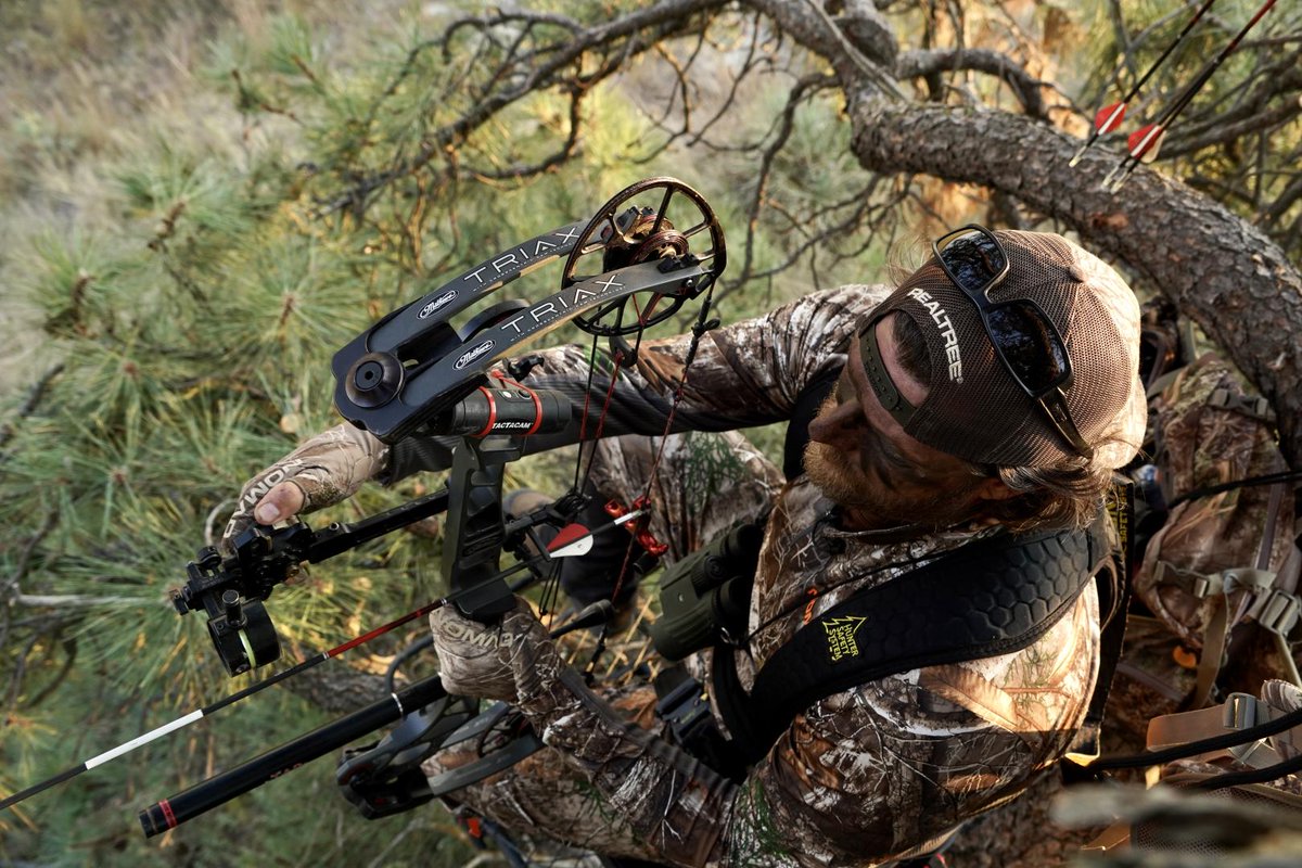 Seek EVIDENCE among the trees! 🌲🌳 #Bloodsport #arrows #bowhunting The Bleeding Edge of Archery . . . 📷 - @mlbhunter