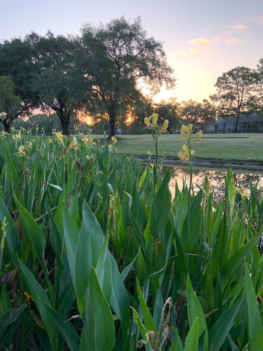 Looks like a promising day! Day 1, Member-Member! #rhccfl #rhccmga #rhccgolf #golf #floridagolf #sunrise