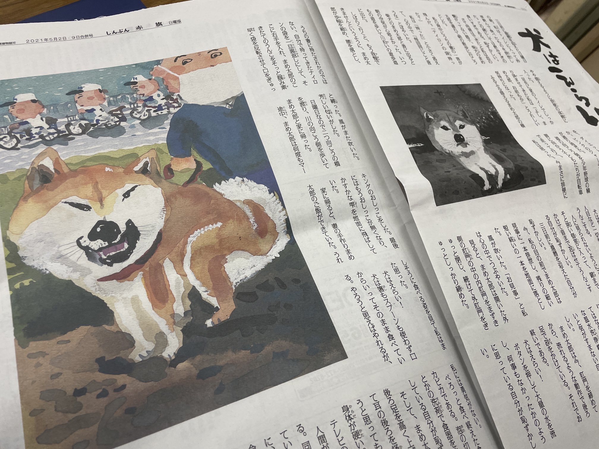 よしまた洋 吉俣よう 絵本作家の長谷川義史さんが しんぶん赤旗 日曜版に特別寄稿をされています タイトル 犬はえらい 絵本化されてもおかしくないようなストーリーです T Co 45dnactayu Twitter