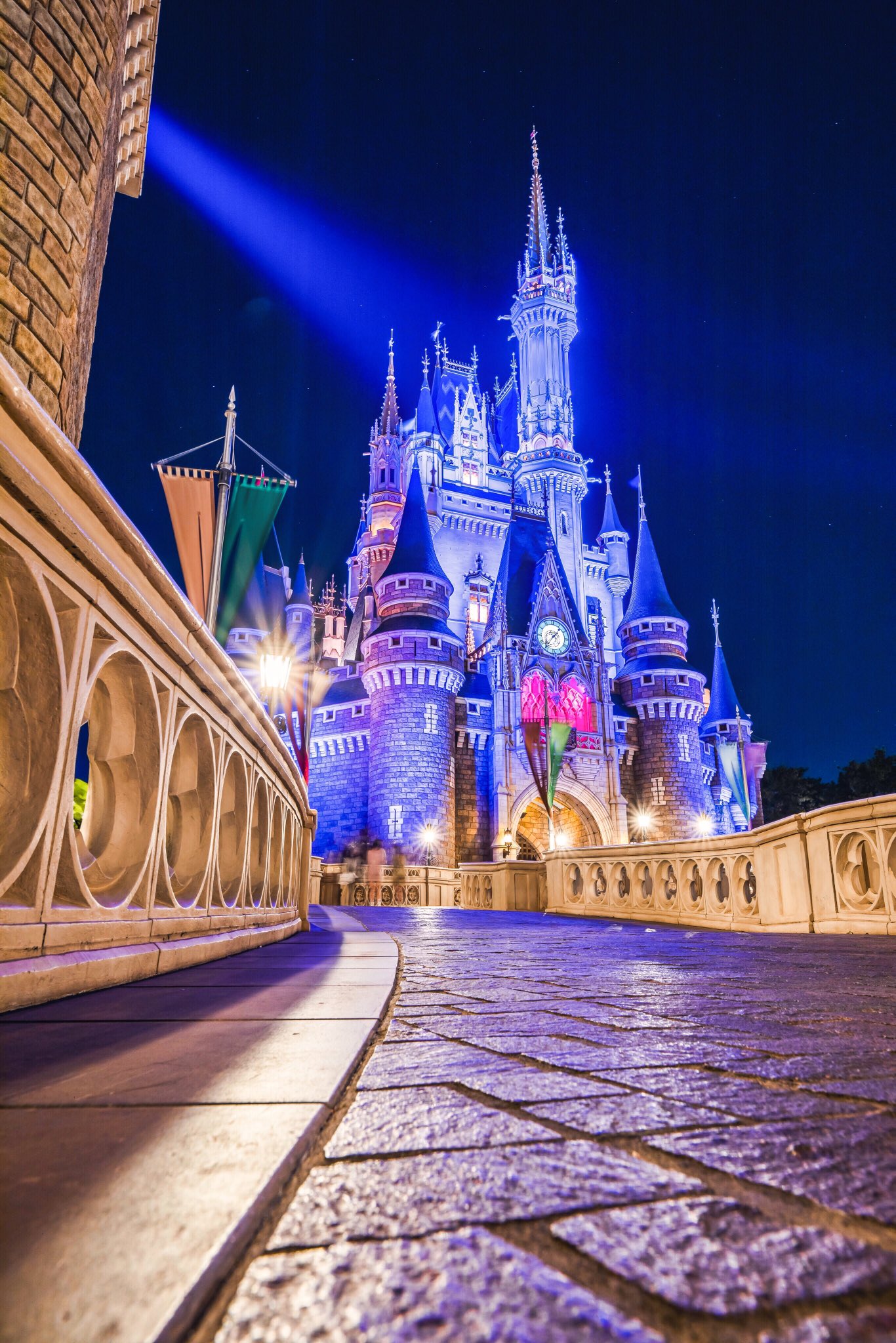ひろカメラ 夜のシンデレラ城がアニメの世界 T Co Yz85joatx1 Twitter