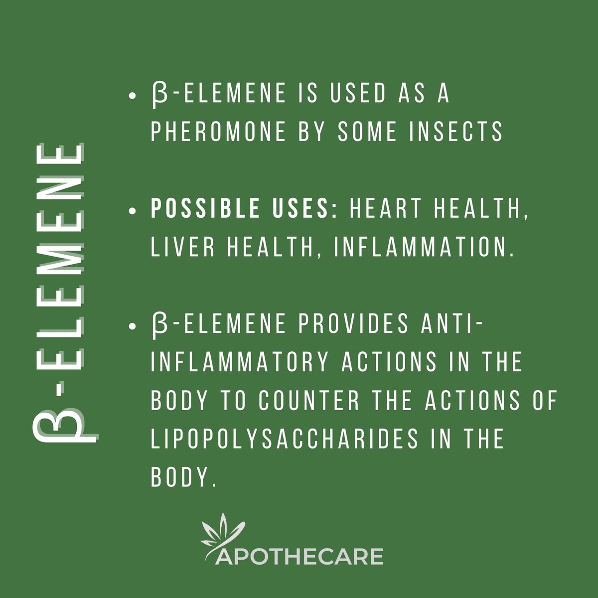 ✨β-elemene is used as a pheromone by some insects
✨Possible uses: heart health, liver health, inflammation.
#terpenes #terpenetuesday #terpenefacts #torontocannabis #torontowellness #cannabismedicinal #cannabiseducation #medicalcannabiscommunity #torontofunctionalmedicine
