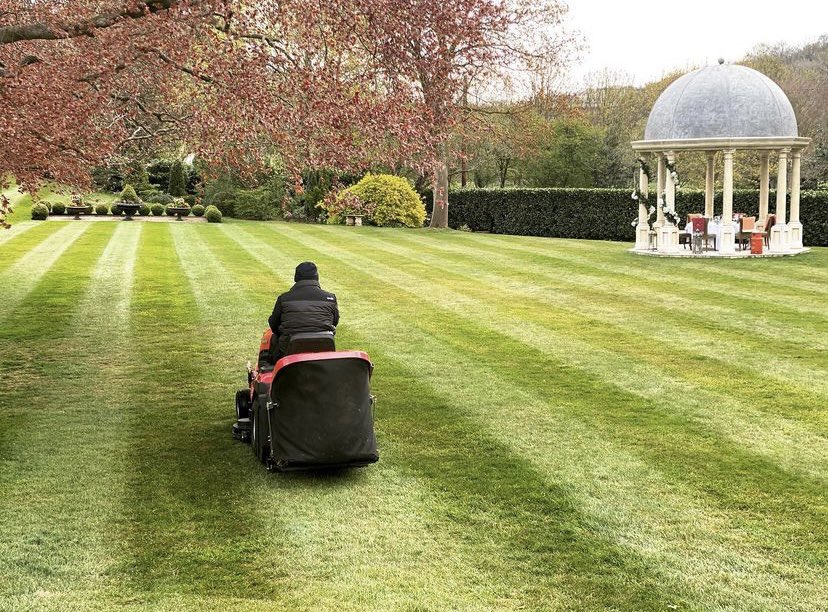 wentbridgehouse's tweet image. Happy Friday! #stripes #wentbridgehouse #yorkshire #lawn #garden