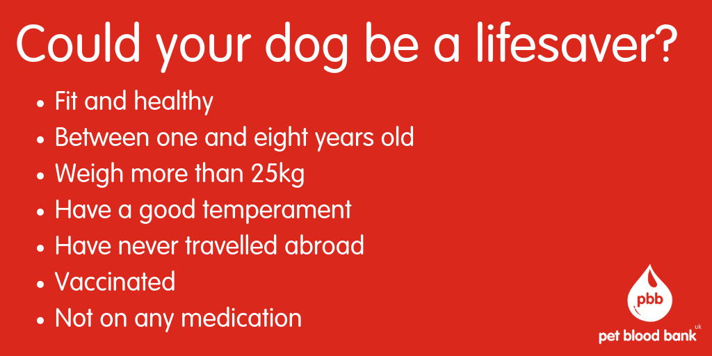 Did you know that dogs can give blood too? We operate very similarly to the human blood service, but for dogs! 🐶 Find out more and see how you can get involved at petbloodbankuk.org