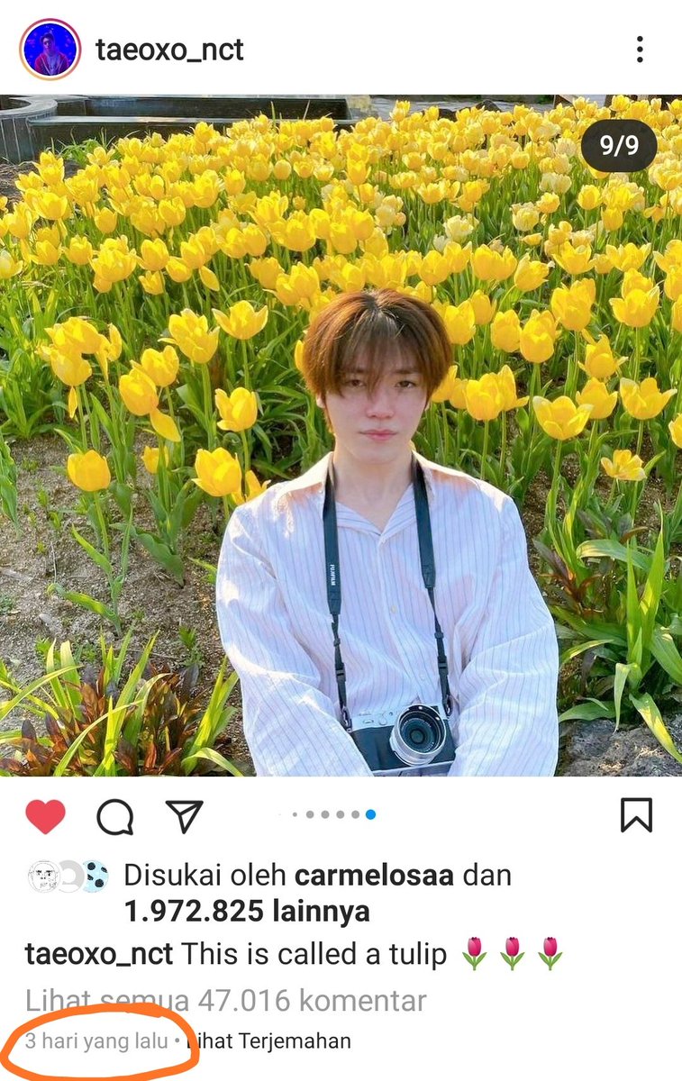 Gracella tweet media