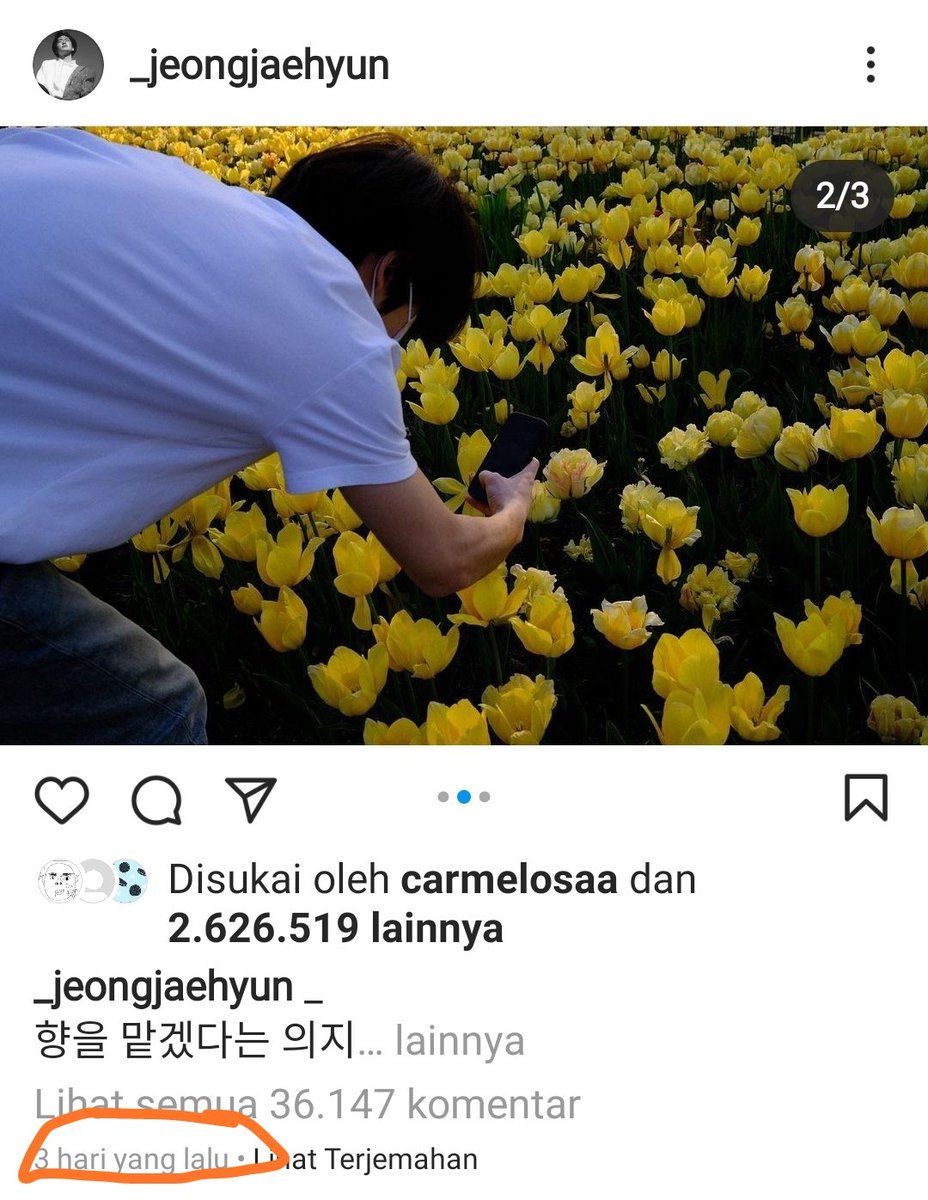 Gracella tweet media