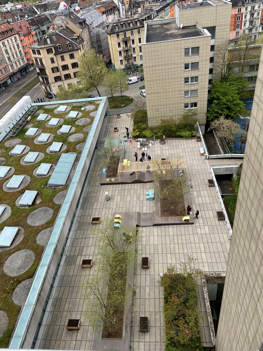 danielleupi's tweet photo. Urban Gardening auf der #Lochergut Terrasse: Neu können Lochergut-Bewohnende und Menschen aus dem Quartier ihre Beete einpflanzen und Tomaten, Zucchini, Salat, Kräuter, etc. ziehen. Schöner Beitrag zur #grünen @stadtzuerich. #edibleroofs #urbangardening https://t.co/34OY8qiVc0 https://t.co/HvgoT9F9Ef