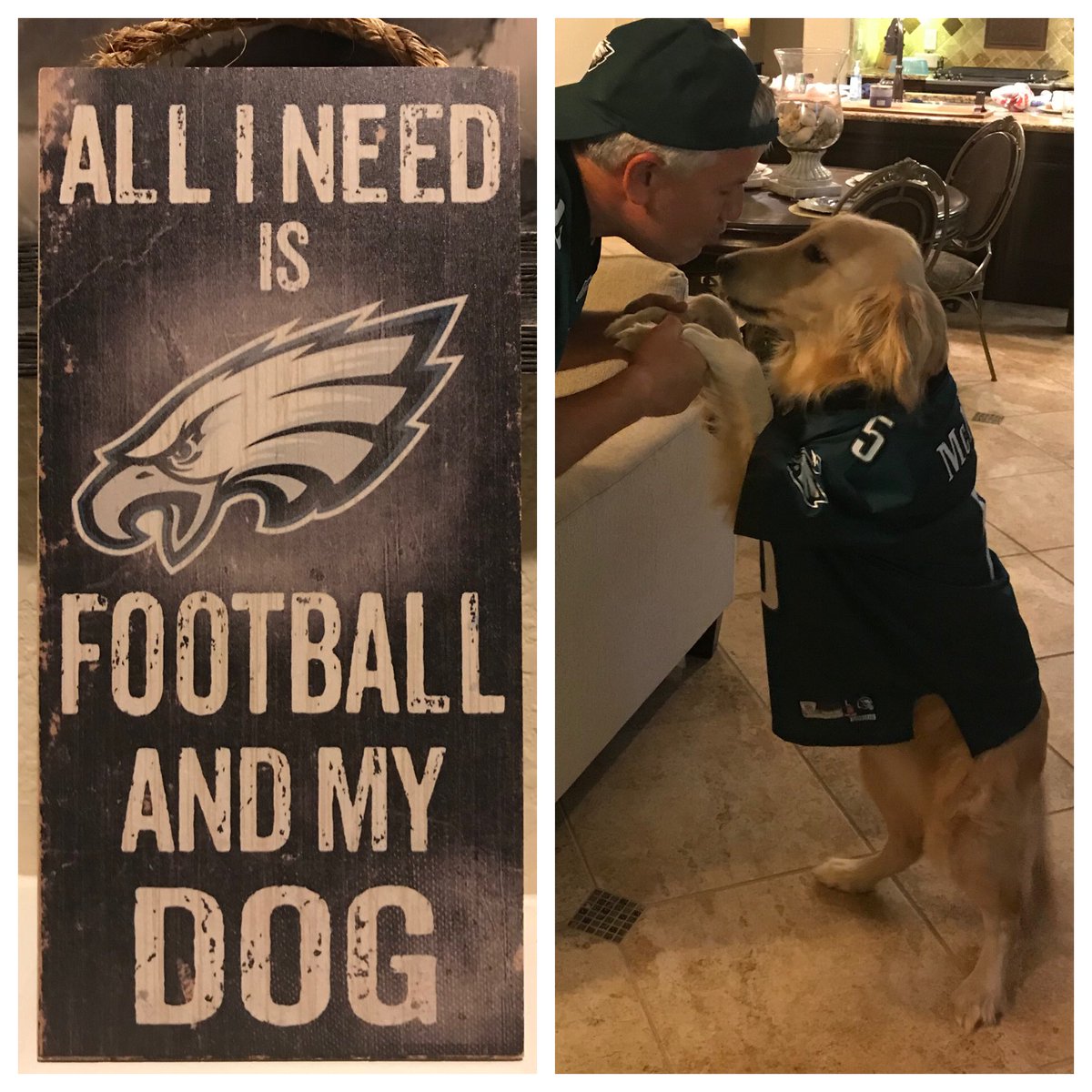 plugdnlifnplugd's tweet photo. @EaglesUnfilter @realsjsgiovanni Me in @BrianDawkins and Willow in @donovanjmcnabb #FlyEaglesFly #goldenretriever #Eagles https://t.co/0MXqAoapD3