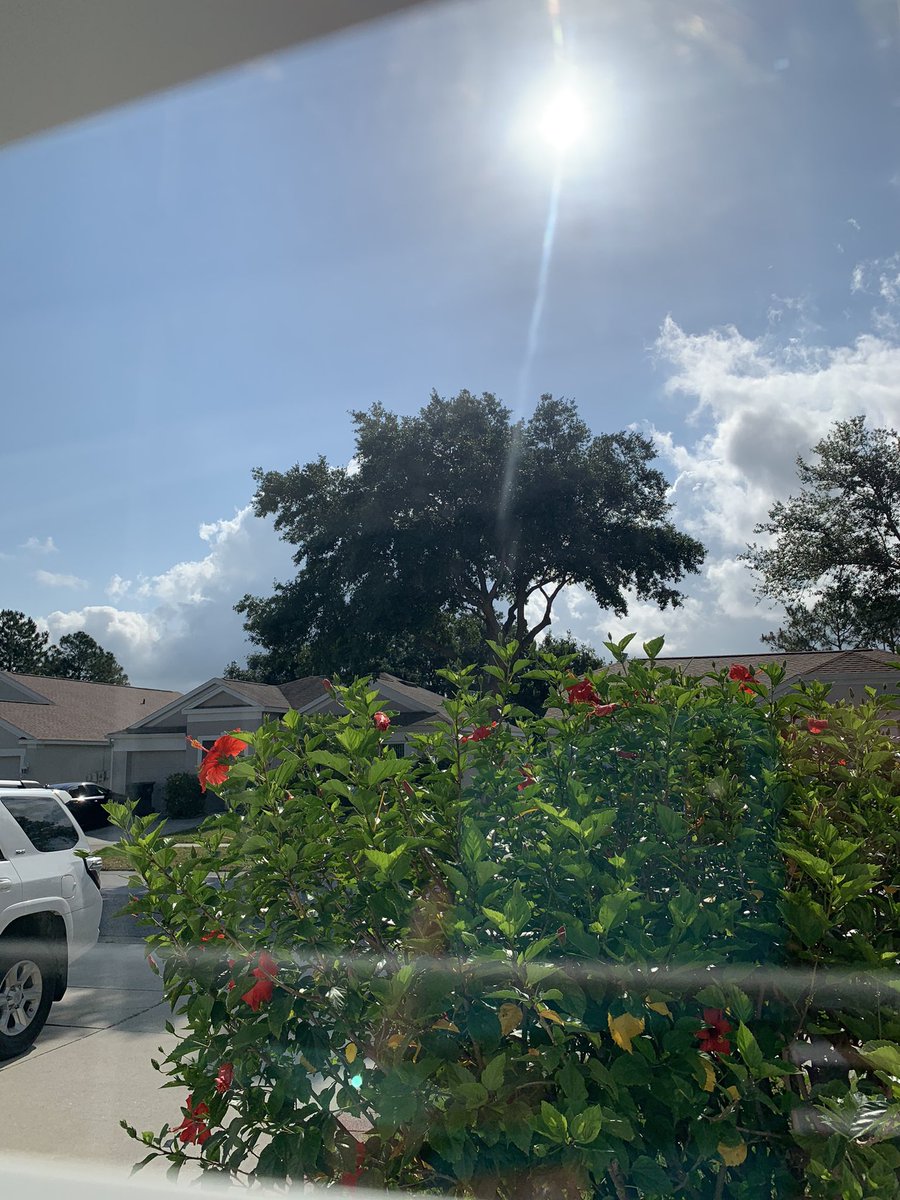 John9Alex's tweet photo. @RadioPlaneta969 Buen día equipo radial. Escuchándolos en mis vacaciones en Tampa, Florida con un día soleado 👌👌 https://t.co/OgcgYdbIfl