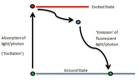 ScienceBasicPod's tweet image. Fluorescence is a light phenomenon, a process in which a chemical absorbs electromagnetic radiation at a certain wavelength and reemits that energy in the same form, but at a different wavelength and thus, a different energy.

Read more 👉 lttr.ai/flYz

#BSPN