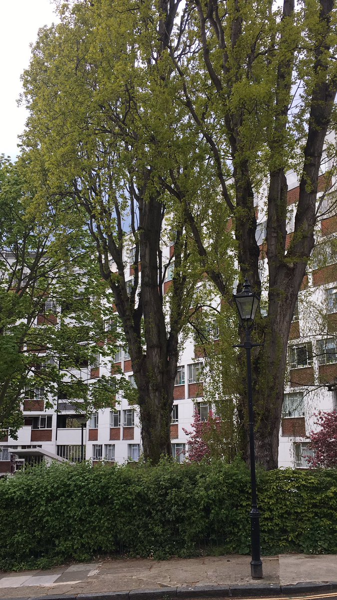 Joint visiting with the ace Libby Sallnow in WC1- involvement from social work, GP SpR, therapy assistant , DNs and pharmacy is huge benefit for complex case work #CNWL #PalliativeCare