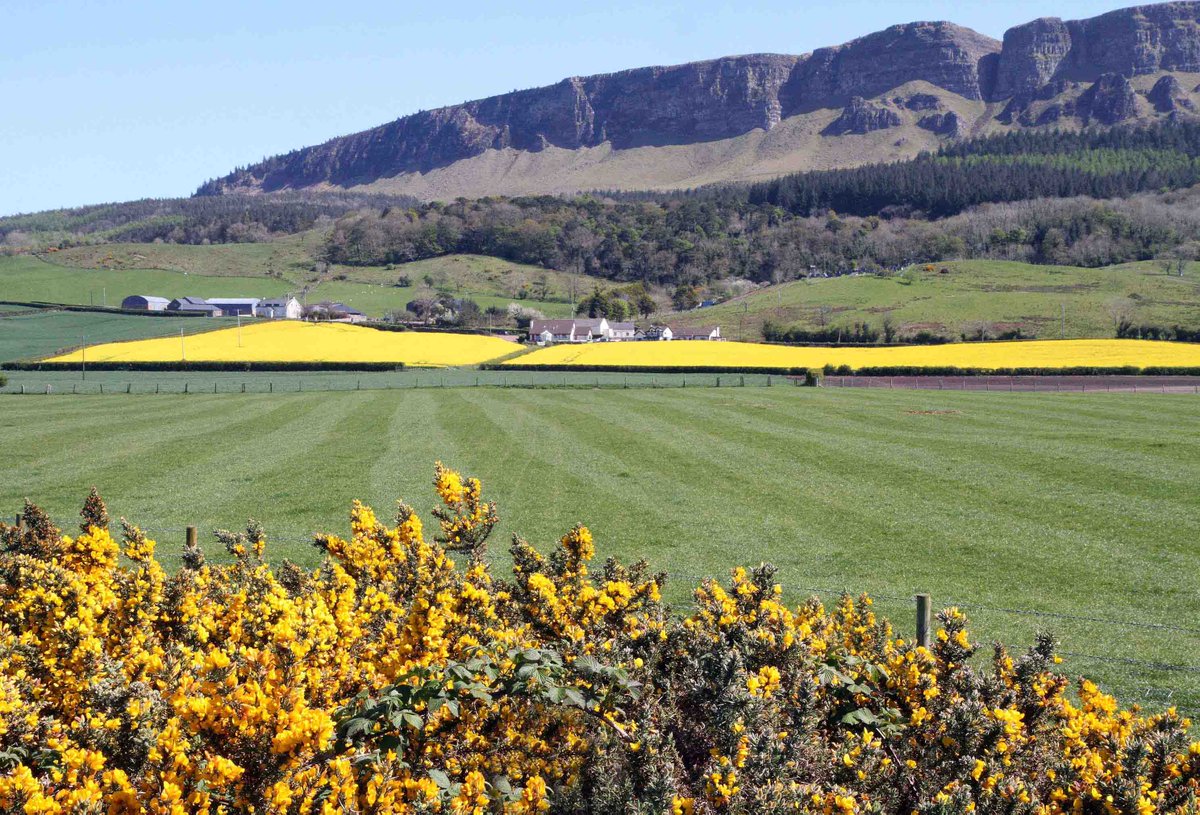 Norman Bell tweet media