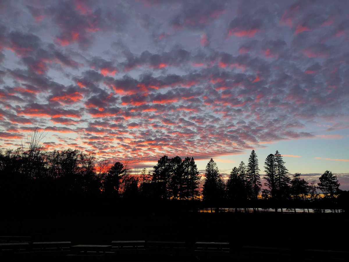 CovenantPines's tweet photo. “And the effect of righteousness will be peace, and the result of righteousness, quietness and trust forever.” -Isaiah 32:17 https://t.co/1culFi4FM1