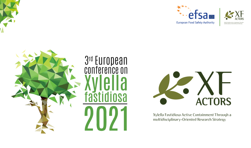 And also this #xylella21 got to an end. We deeply thank all the speakers, participants, and fantastic partners who made it possible! @xf_actors @EuroXanth @BiovexoProject @Life_Resilience @cure_xf @Euphresco @ERC_Research Abstracts are available here➡️bit.ly/3xwXczz