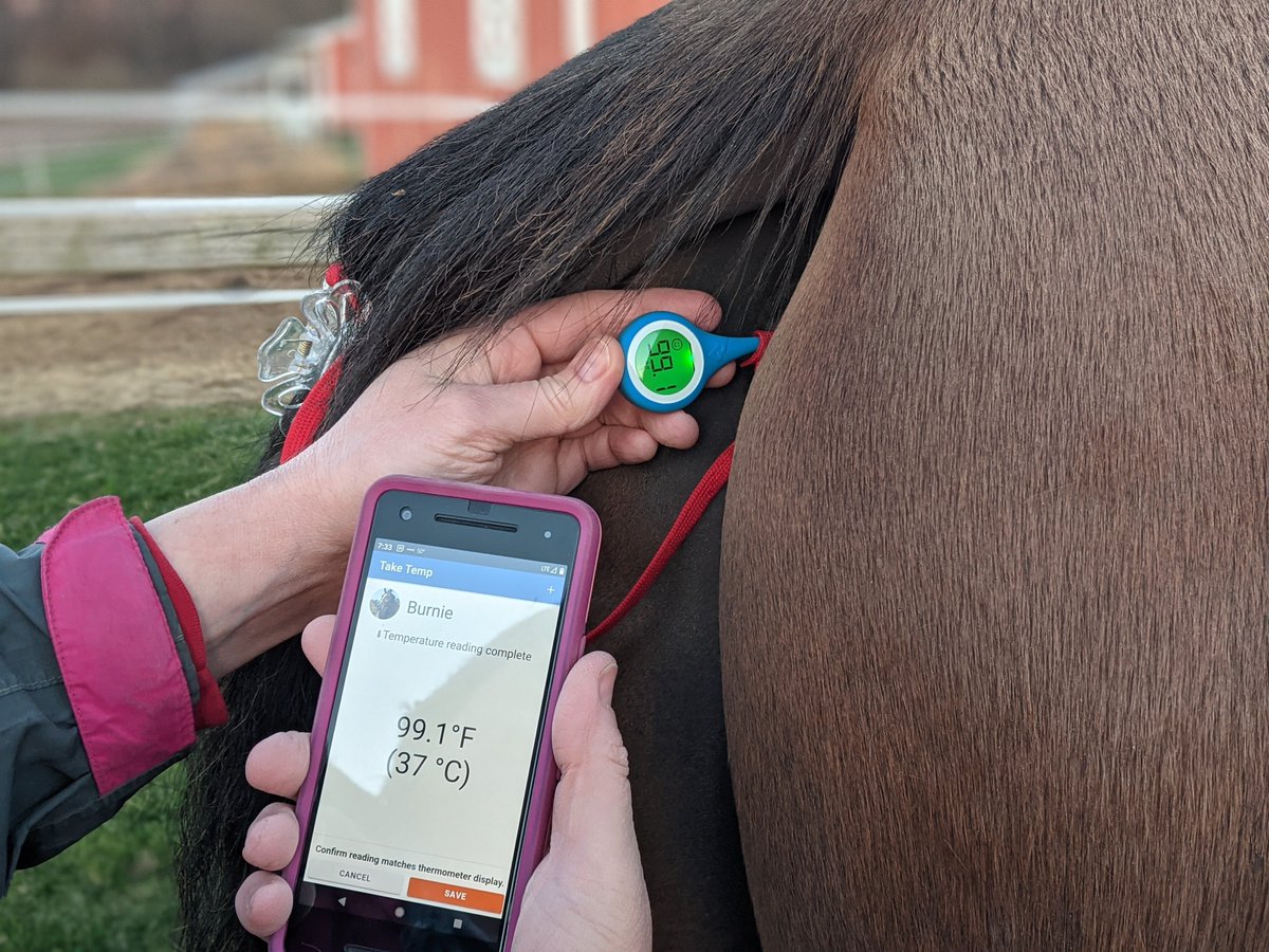 What is EHV-1 &amp; what can you do to keep your horse safe? Read our blog to learn &amp; enter to win the thermometer contest! farmjenny.com/ehv-1/ #horses #equine #EHV #biosecurity #Veterinary #farms #IoT #AgTech #Thread #FarmJenny #HorseMonitoring #Fever #Temperature #Kinsa