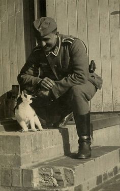 The British Government's arguments that the German's disliked cats were shown to be false when the Cats (demonstrating precisely WHY the Allies needed them) easily provided photographic evidence to the contrary from France, where French Kitties had not resisted occupation.