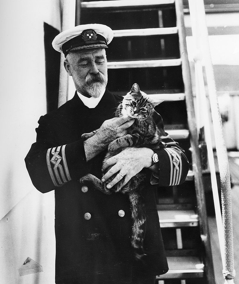 Cats already had a LONG tradition of serving in command and gunnery positions within the Royal and Commonwealth Navies (although they were generally portrayed more as limited advisors or passengers to the press, for security and propaganda reasons)