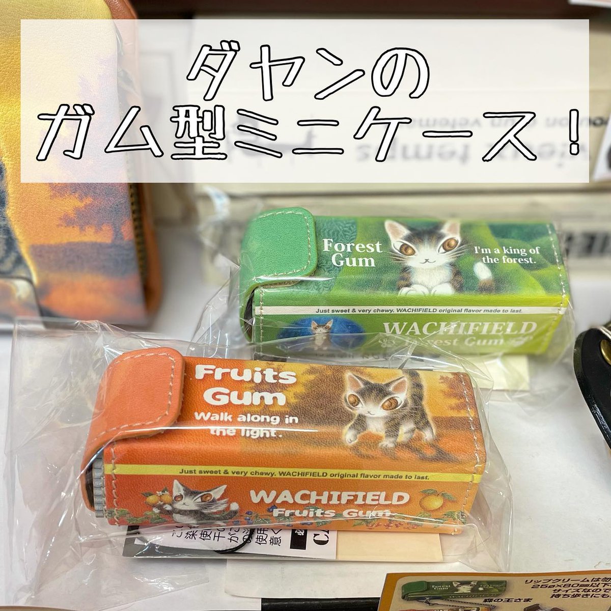 浦安市の保護猫カフェ 猫を売らない猫の店 猫の館me おーにゃー Nekonoyakatame Twitter