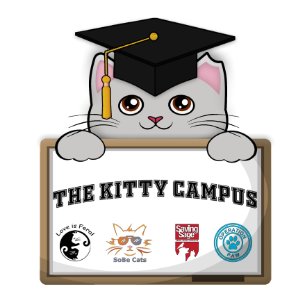 We are working with the City of Miami Beach &amp; non-profits SoBe Cats &amp; Saving Sage to make an impact on the overwhelming number of community cats on Miami Beach.

Our collaboration is Kitty Campus &amp; we're focused on TNVR, rescue, transport &amp; adoption.

#cats