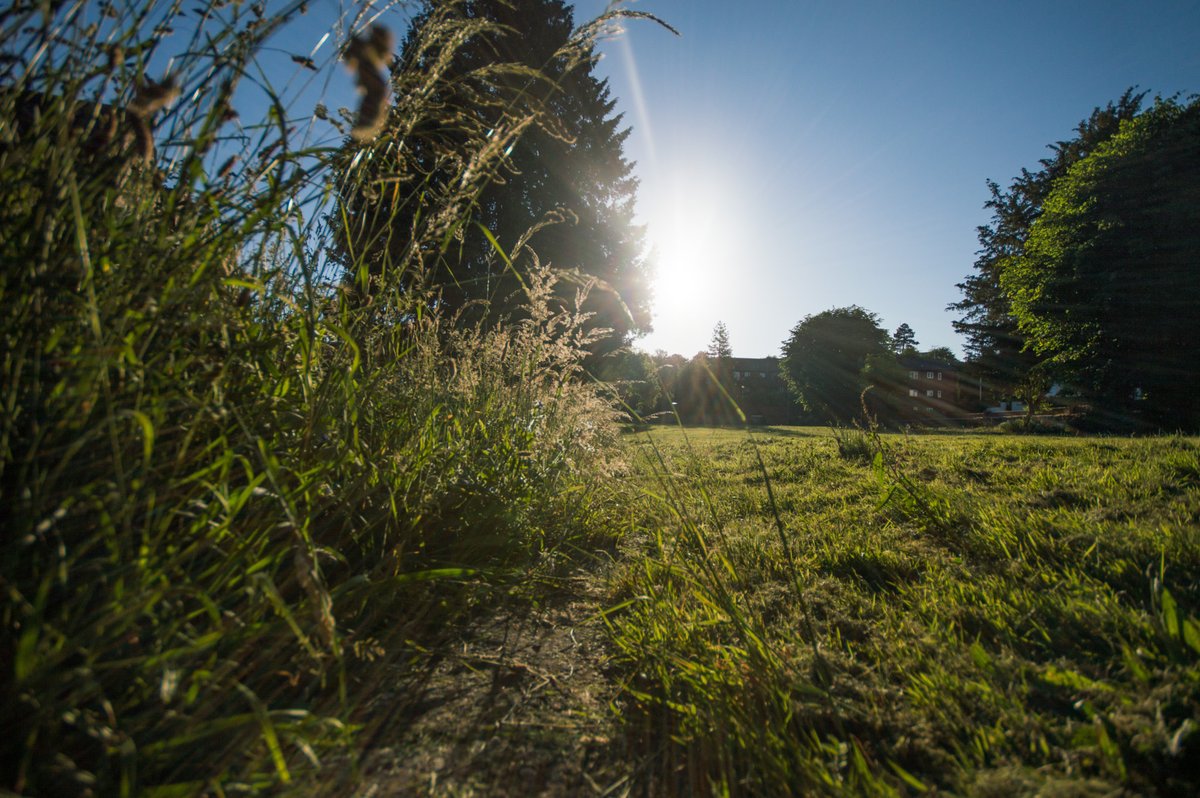 More great news for #Exeter - coming in 2nd on <a href="/OVOEnergy/">OVO</a>'s rankings of the countries greenest, leafiest areas! 🌳🍃

Methodology by <a href="/Bluesky_int/">Bluesky International, a Woolpert company</a>, using tree coverage data from their National Tree Map: bluesky-world.com/ntm

Read more 👉 ovoenergy.com/ovo-newsroom/p…