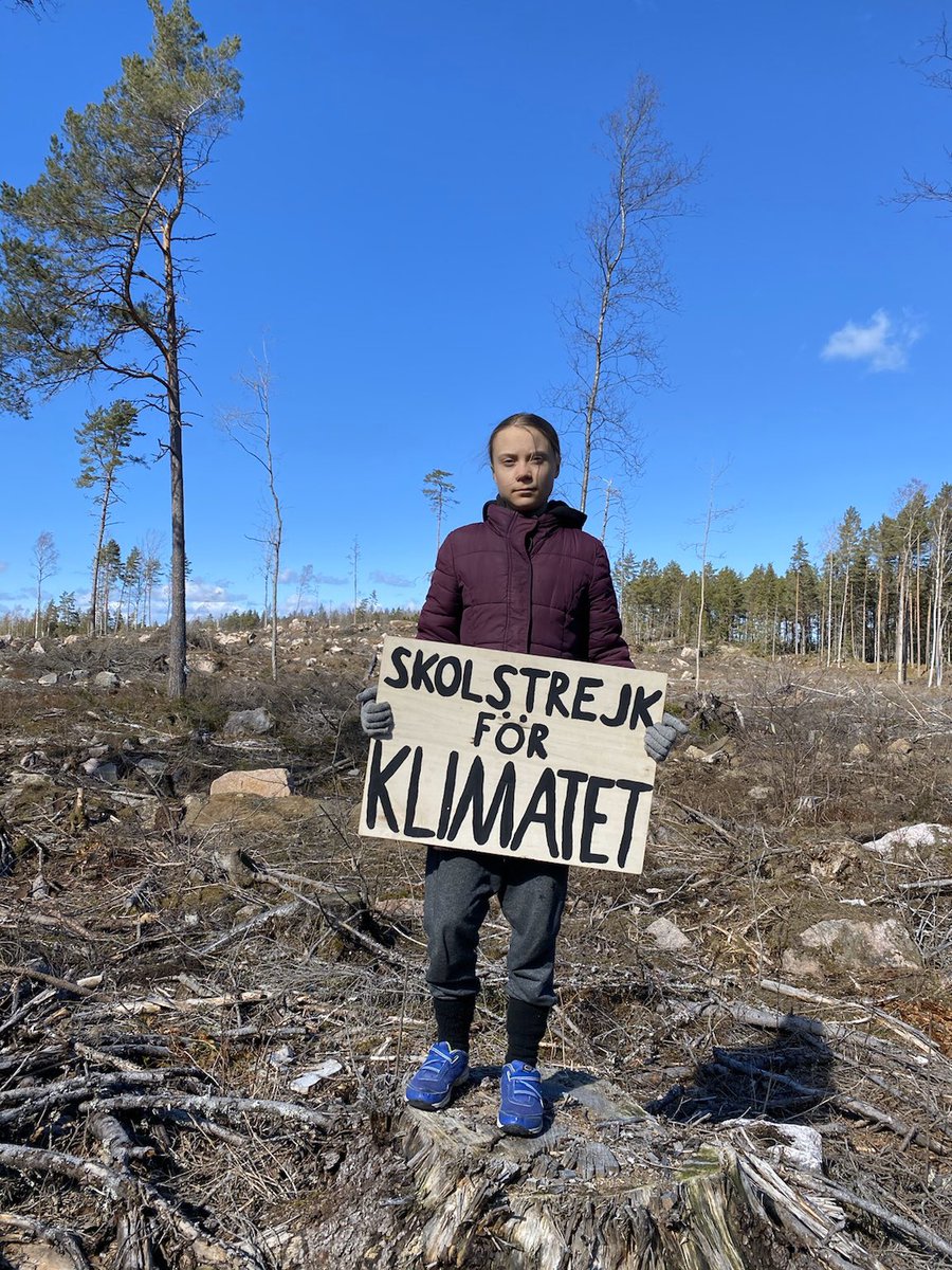 School strike week 141. On a clearcut in central Sweden that belongs to the Church of Sweden. #ArborDay #MindTheGap #climatestrikeonline #fridaysforfuture #FaceTheClimateEmergency