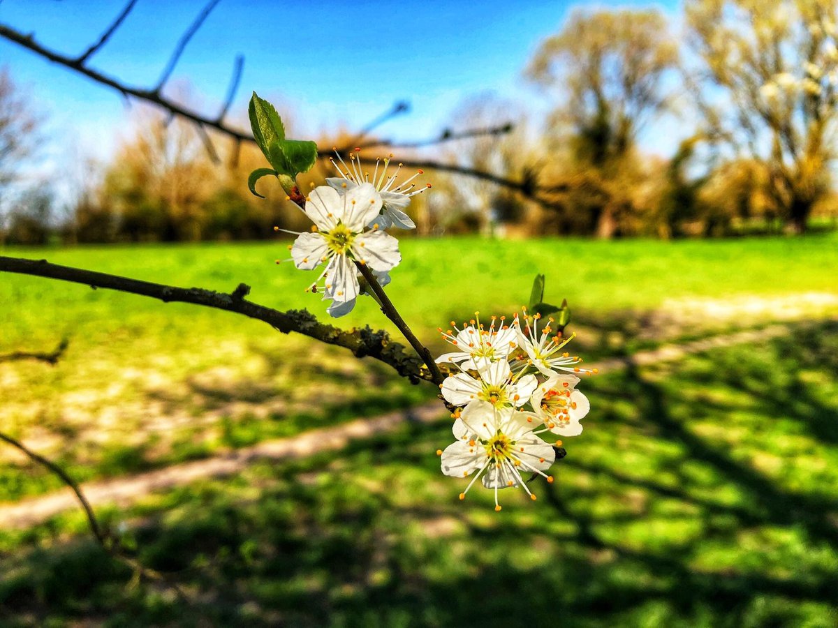 CambridgeKungFu's tweet photo. Bank Holiday Monday coming up (May 3rd) so there's no Kung Fu classes (which should enable you to go out and enjoy the weather even more)! #BankHolidayWeekend #enjoytheweather https://t.co/Ld48RbtOLg