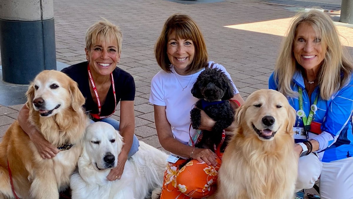 Happy #NationalTherapyAnimalDay to Zest, Tilly, Hunter, and Frankie, and wonderful owners, Patti, Donna, and Wendi who have provided dog therapy to our patients. They are truly exceptional and so loved by both patients and staff. Thank you for bringing joy and healing to #LHMC!