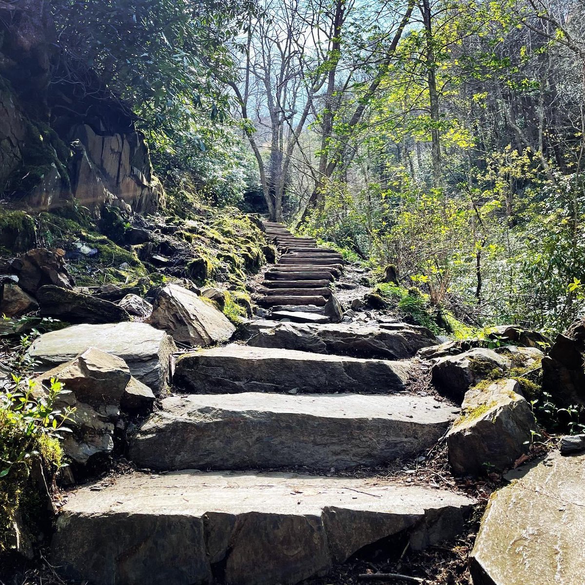 Jaxhollowmusic's tweet photo. Ok. Go to the Smoky Mountains, there’s an actual stairway to heaven! It’s inspiration time!
#jaxhollow #nature #inspiration #wild #connetion #roots #singersongwriter #songwriter #gettinginspired #stairwaytoheaven #travel #writing https://t.co/EvY4FTVvAW