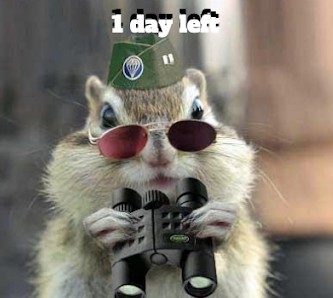 WeekendEagle's tweet image. Scout it out!  There's lots to do tomorrow at Eagle Up Weekend!  Be sure and bring the whole family!  All activities will be on the campus of Florence High School.