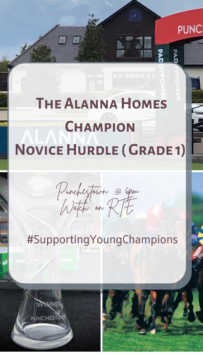 Alanna Homes (@alanna_homes) on Twitter photo Looking forward to the running of the Alanna Home Champion Novice Hurdle <a href="/punchestownrace/">Punchestown</a> today at 6pm. Make sure to tune in to <a href="/RTEracing/">RTÉ Racing</a> to watch it. Best of Luck to all involved. #SupportingYoungChampions Looking forward to the running of the Alanna Home Champion Novice Hurdle <a href="/punchestownrace/">Punchestown</a> today at 6pm. Make sure to tune in to <a href="/RTEracing/">RTÉ Racing</a> to watch it. Best of Luck to all involved. #SupportingYoungChampions