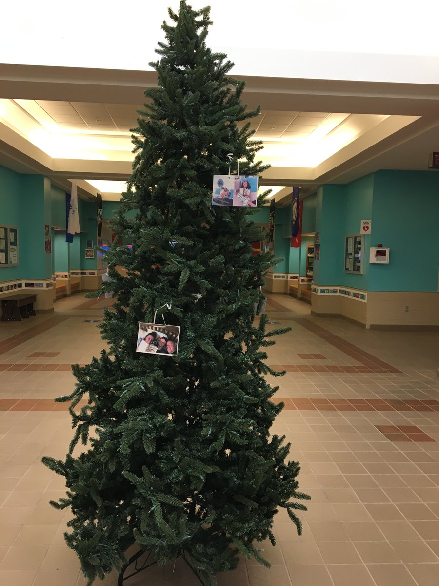 SeeSmittyRead's tweet photo. I decided to decorate our tree with happy pictures of families reading! CAES, I need some more!There is still time,@CarrolltonES, families to follow the link and submit your pic to win the sequel to #KennyandtheDragon #ReadToThem #OneBookConnects https://t.co/oTqlamXmqF