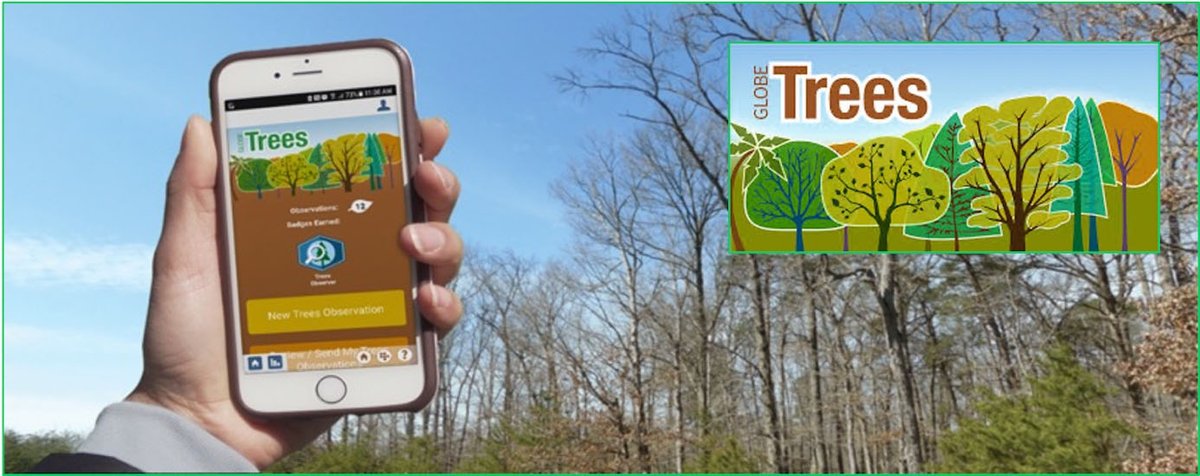 chesapeakebay's tweet photo. #ArborDay seemed like the perfect time to share this new blog post from @NASA's @GLOBEProgram! Their new Tree Tool in the GLOBE Observer app is helping citizen scientists and our #Keystone10MTrees partners track growth over time. 🌱 https://t.co/O9azkOUVVZ https://t.co/GEP6wcrSem