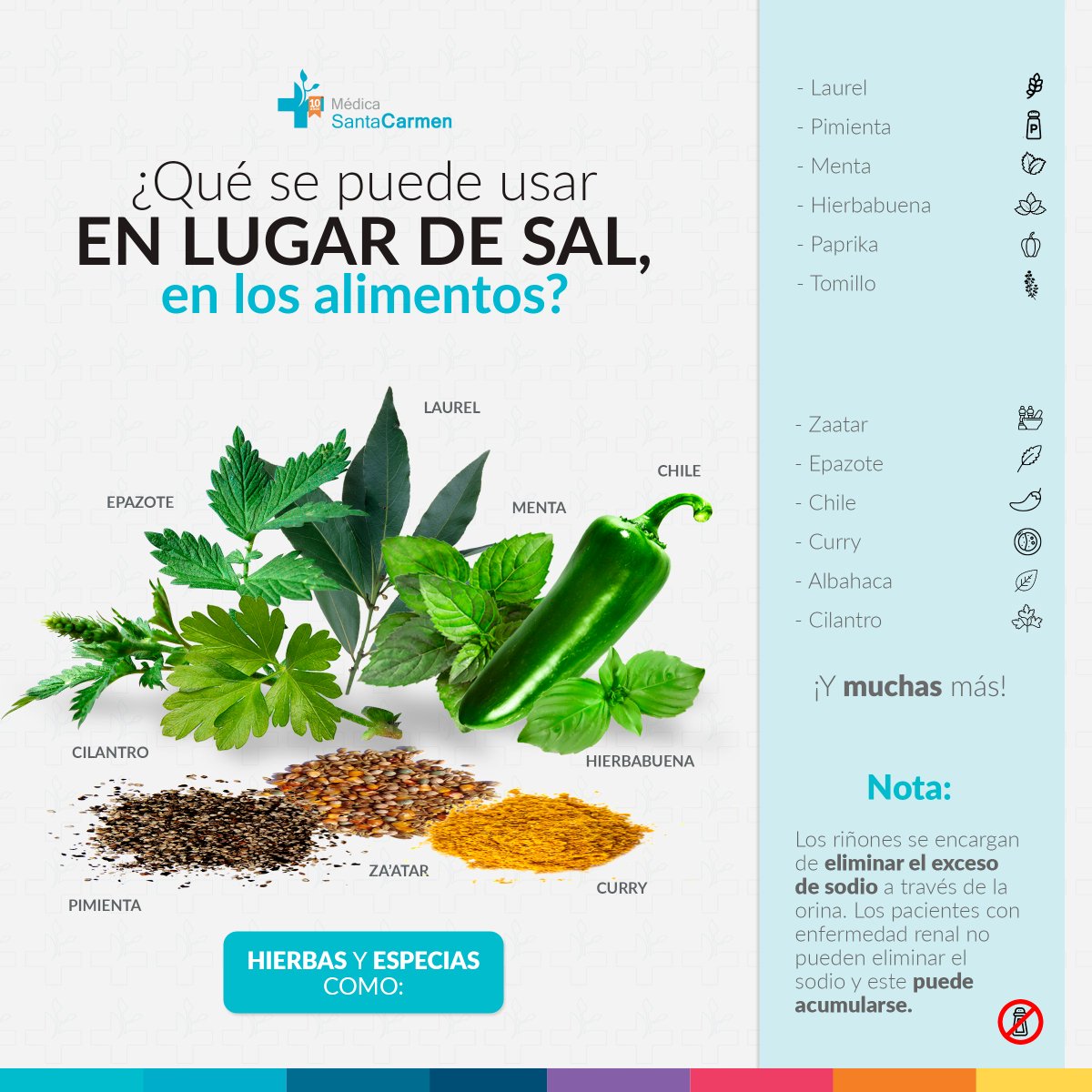 Le compartimos algunas especias y hierbas, que se pueden usar en lugar de sal ¡Agende una cita! para elaborar un plan de alimentación a la medida de sus necesidades ¡Mejore sus hábitos de alimentación! #ConsejosSantaCarmen