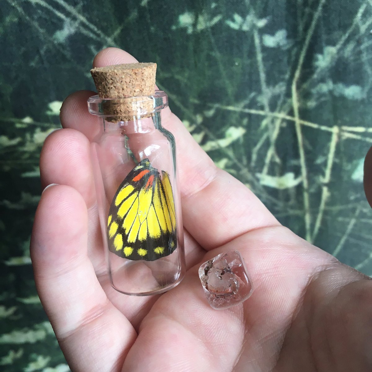 Mother’s Day is coming up soon!! ✨✨

Go pick up a Moth-er’s Day Card and add a butterfly wing jar to it!! 🦋🦋

✨sickcuriosity.com✨