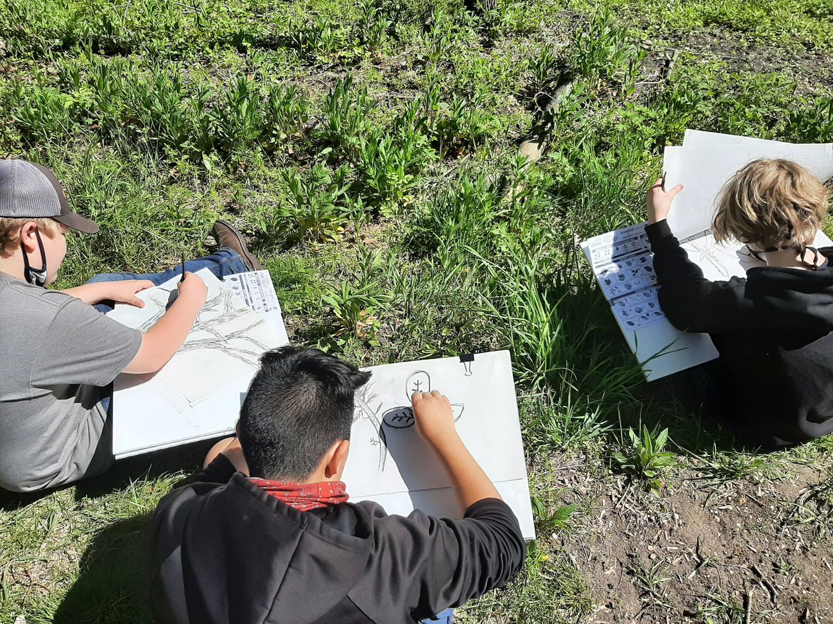 resykalski's tweet photo. 8th grade went outside to draw and identify some trees for art class. So far we found a Freeman Maple, Cottonwood, and plenty of Box Elder. @clintonwischool @JimBrewer_edu @ErikaStew2484 @JanaeGile https://t.co/OKSjj82YZ3