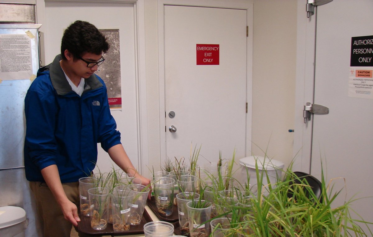 We're looking for two technicians to join our team this summer. More information at ppo.puyallup.wsu.edu/jobs/