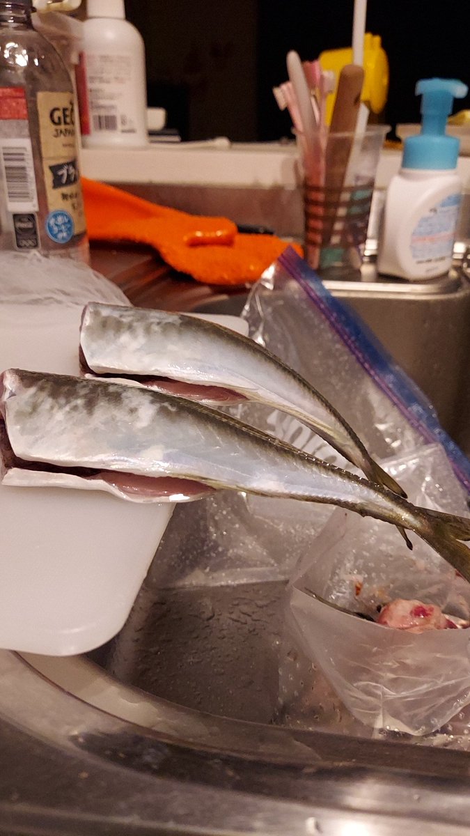 Closer Kstfc 奥が脳天締めたアジ 手前が血抜きのみのアジ 身のやわらかさがやはりかわる感じですかね