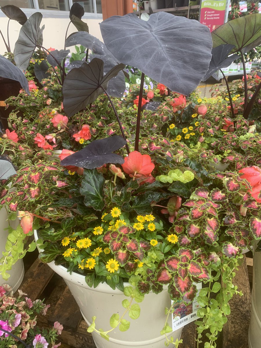 Phil Self tweet media