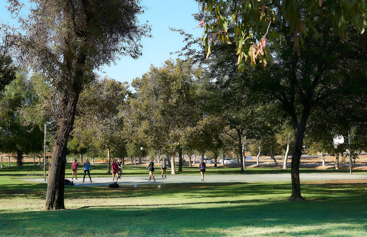 valleywiderec's tweet photo. Today is #ArborDay, a day to celebrate the importance of trees. Valley-Wide maintains thousands of trees in parks and streetscapes throughout the district and celebrates the benefits that trees provide. #IAmValleyWide https://t.co/2BEeYmBf7x
