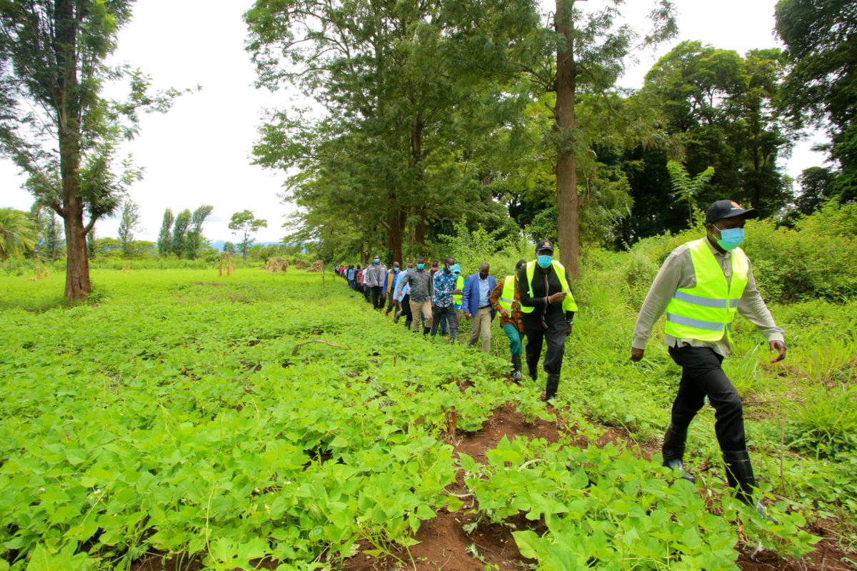 EugeneLWamalwa's tweet photo. As we prepare for the #7thDevcon that will be focusing on Climate change through planting of 2Million trees, we are proud of our 16 Counties that have passed Climate change Acts &amp;set up Funds to deal with the single most perilious challenge of our time. We urge the rest to do so. https://t.co/EzpO3KW1zx