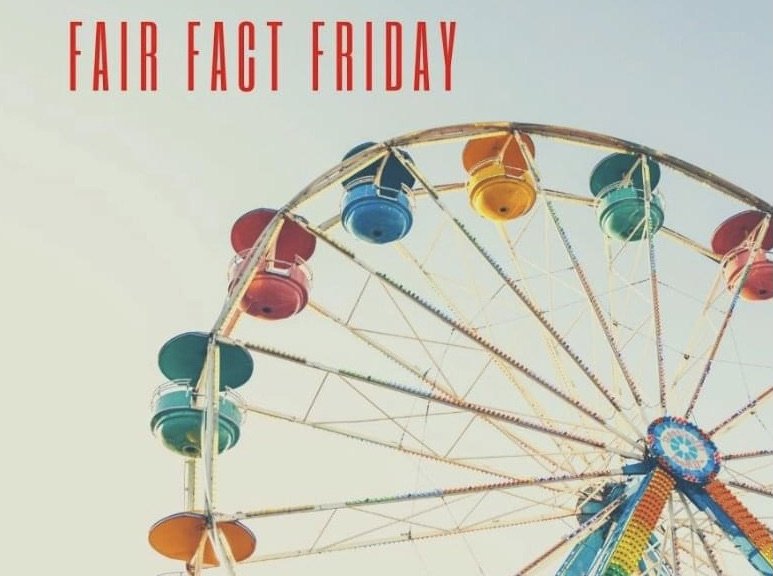 Did you know that the smallest animal exhibited at the Fair is a Hamster! #fairfactfriday