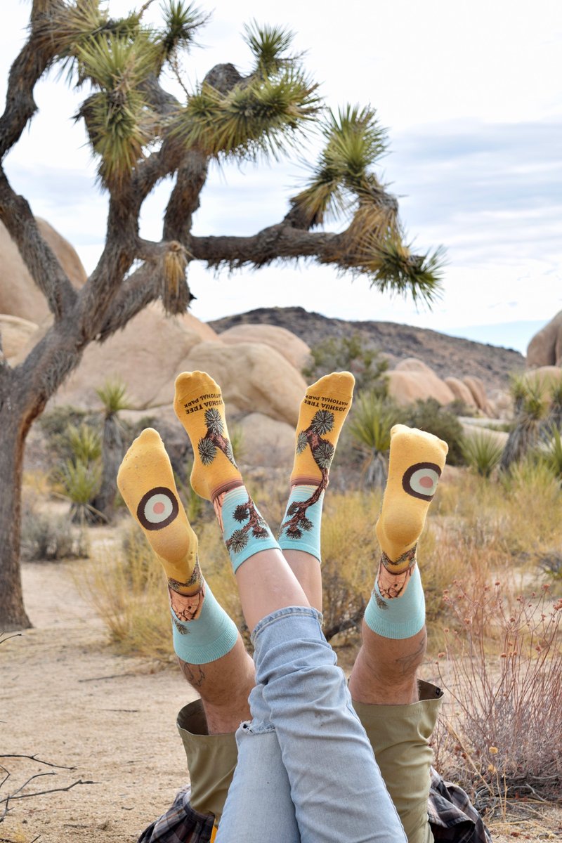 I think that I shall never see / a sock as lovely as a tree. Happy #ArborDay! #JoshuaTree crazysocks.com/products/joshu…