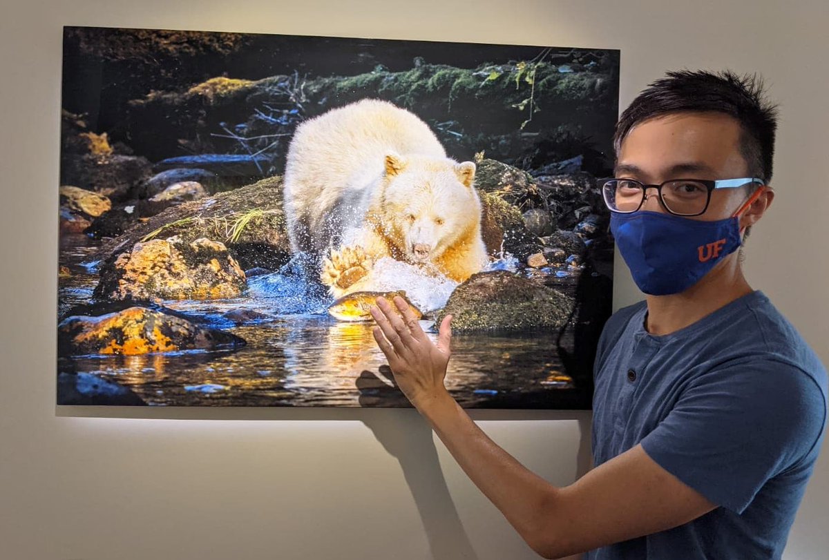 Castellano Research Group (@castellanolabuf) on Twitter photo Congratulations to <a href="/ChengYenPan1/">Cheng-Yen Pan</a> for being named a 2021 Howard and Brenda Sheridan Summer Fellow! We are grateful to the Dr. Howard and Brenda Sheridan Fund in Chemistry. Dr. Sheridan is a wildlife photographer; here is "Mythic Spirit Bear". <a href="/UFChemistry/">UF Chemistry</a> uff.ufl.edu/giving-opportu… Congratulations to <a href="/ChengYenPan1/">Cheng-Yen Pan</a> for being named a 2021 Howard and Brenda Sheridan Summer Fellow! We are grateful to the Dr. Howard and Brenda Sheridan Fund in Chemistry. Dr. Sheridan is a wildlife photographer; here is "Mythic Spirit Bear". <a href="/UFChemistry/">UF Chemistry</a> uff.ufl.edu/giving-opportu…